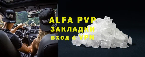 стафф Арсеньев