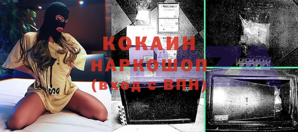 стафф Арсеньев
