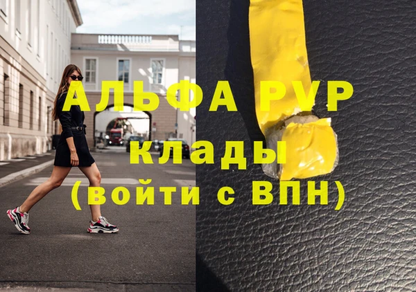 стафф Арсеньев